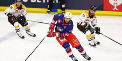 Champions Hockey League: Adler Mannheim erreichen K.o.-Runde